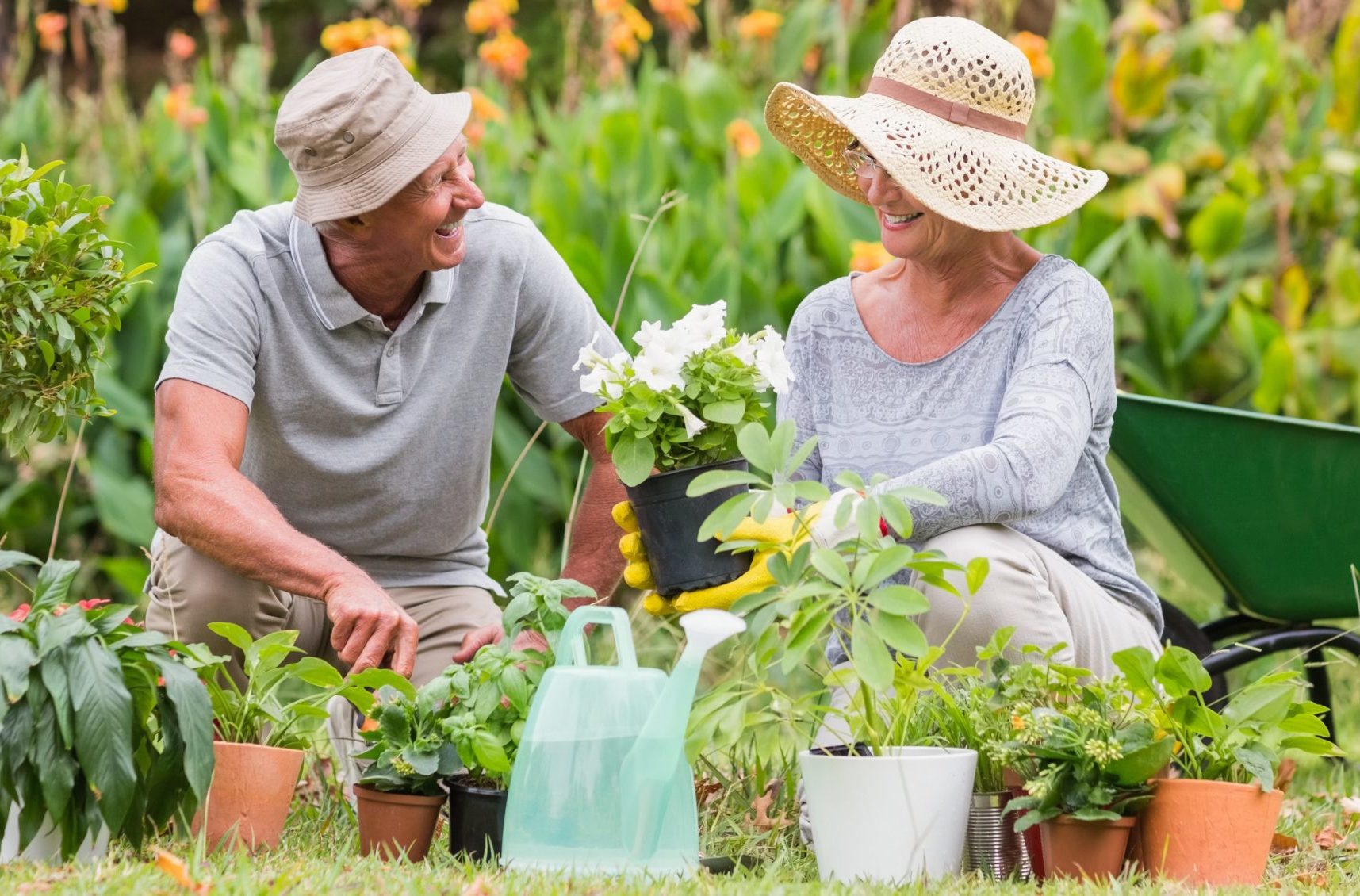 Reliable pensioner lawn mowing services Sydney